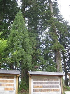 e0170519_023132.jpg