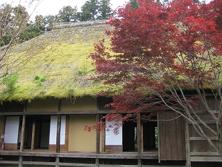 e0170519_0255768.jpg