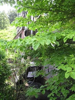 e0170519_0261673.jpg
