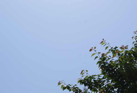 c0020320_14125455.jpg