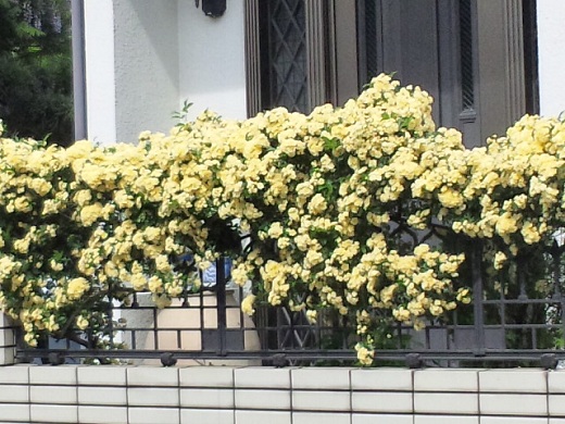 b0199924_14414158.jpg