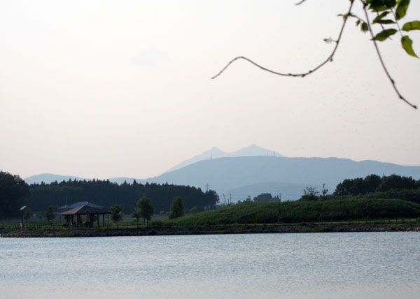 f0147025_1750390.jpg