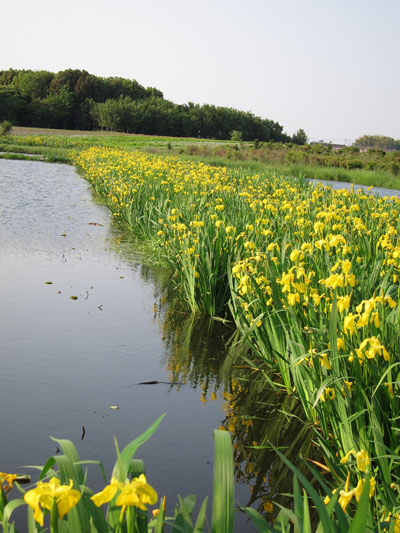 f0147025_18113115.jpg