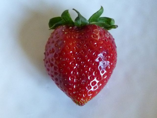 d0208226_647627.jpg