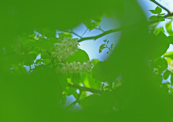 c0104227_23465773.jpg