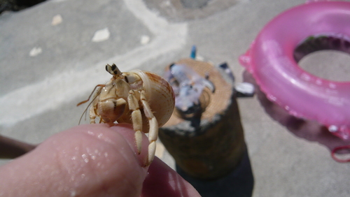 f0222527_3185933.jpg