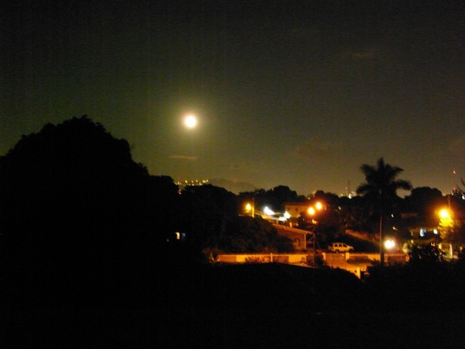 f0169328_21591020.jpg