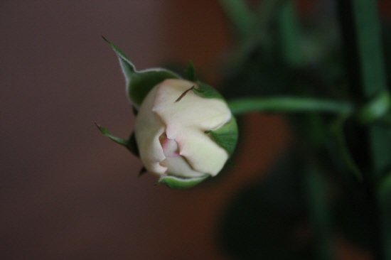d0077029_9421671.jpg