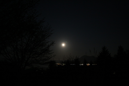 f0045630_4111695.jpg