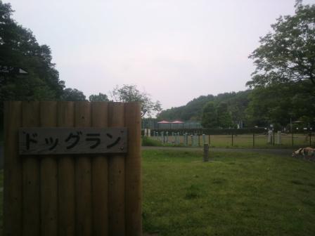a0146431_11265131.jpg