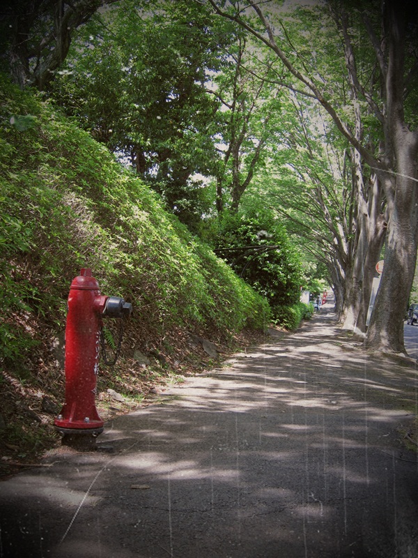 c0164234_1023323.jpg