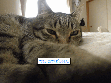 c0136736_11133189.gif