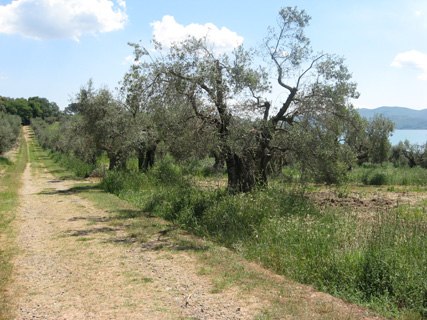 f0234936_23161056.jpg
