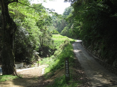 c0077338_6373966.jpg