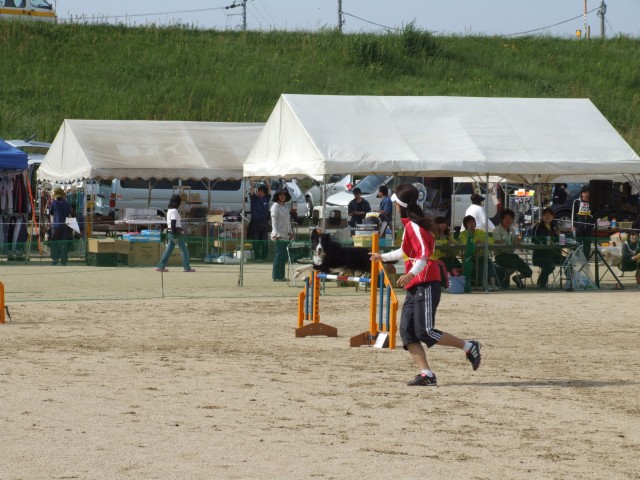e0010342_9472611.jpg