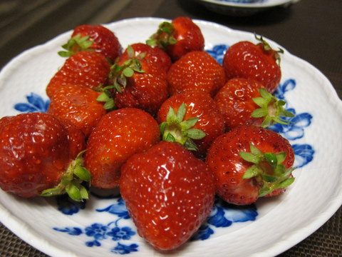 e0018143_246241.jpg