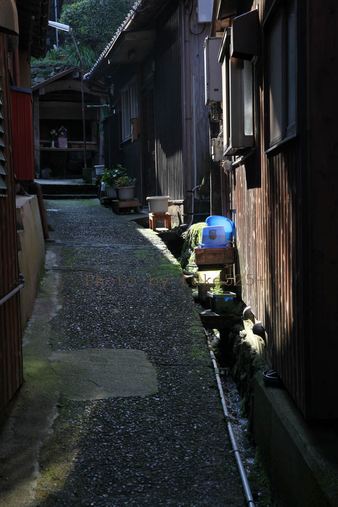 a0116946_6231155.jpg