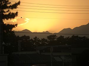 b0163551_1636987.jpg