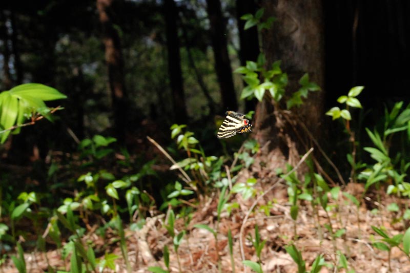 c0043361_075390.jpg