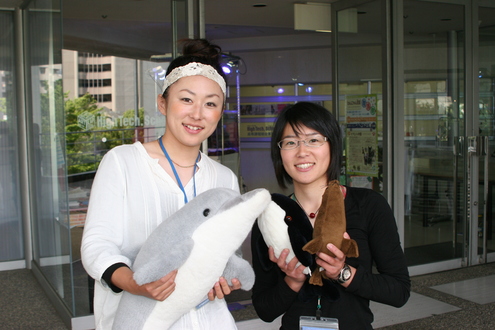 c0182661_1735245.jpg