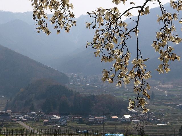 b0218664_8554589.jpg