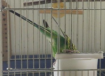 f0196665_002083.jpg