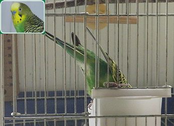 f0196665_05156.jpg