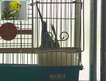 f0196665_052592.jpg