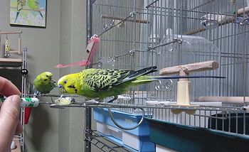 f0196665_23284029.jpg