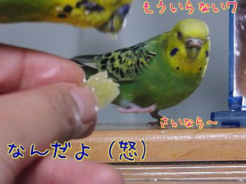f0196665_23394443.jpg