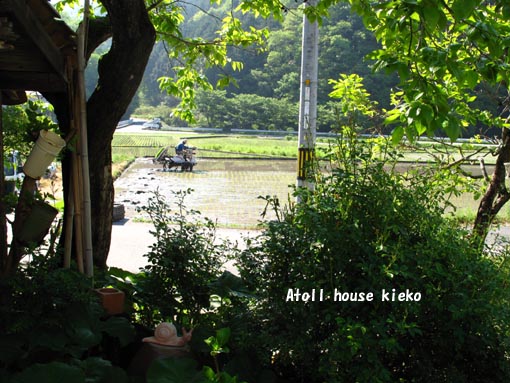 a0139570_2157117.jpg