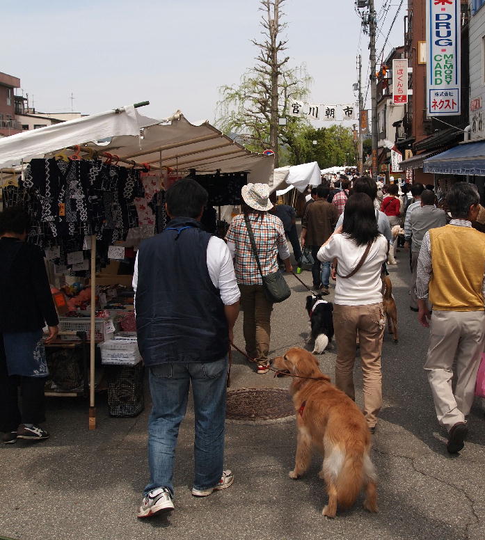 d0216270_014386.jpg