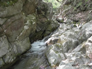 d0134473_1774973.jpg
