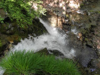 d0134473_1791153.jpg