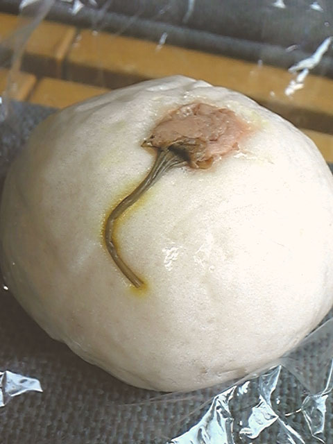 e0118274_21515879.jpg