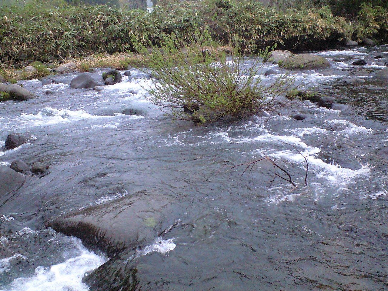 a0093677_20494592.jpg