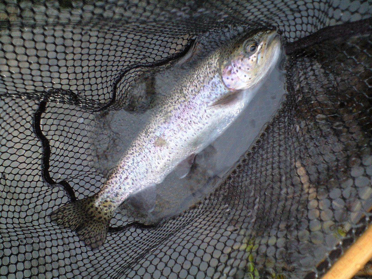 a0093677_20555221.jpg
