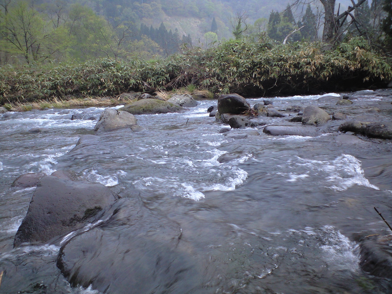 a0093677_2101295.jpg