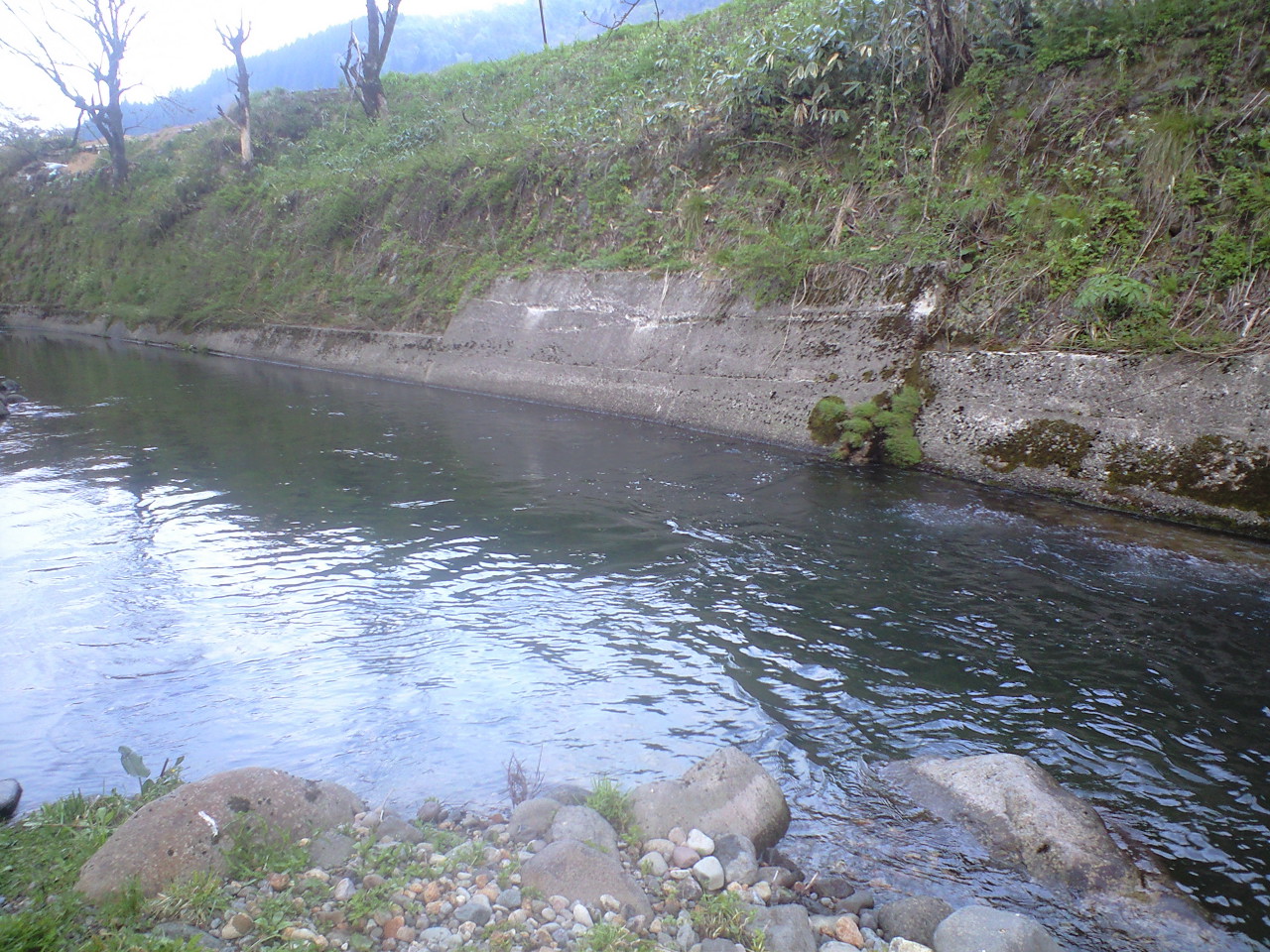 a0093677_21132736.jpg