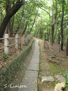 b0139477_257813.jpg