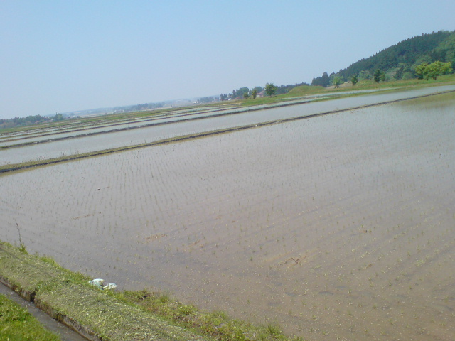 d0182179_1924927.jpg