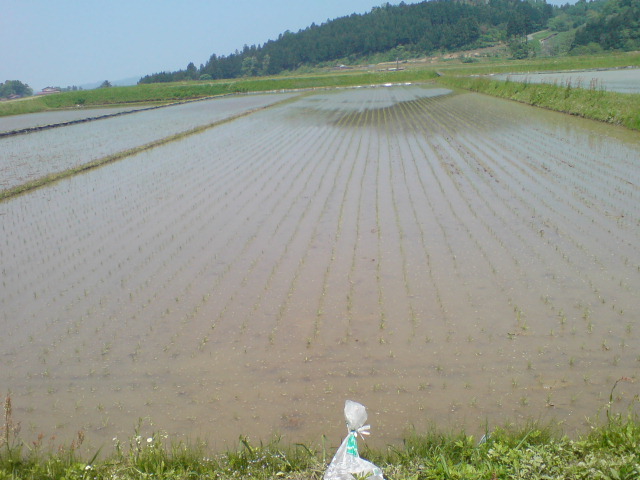d0182179_19255481.jpg