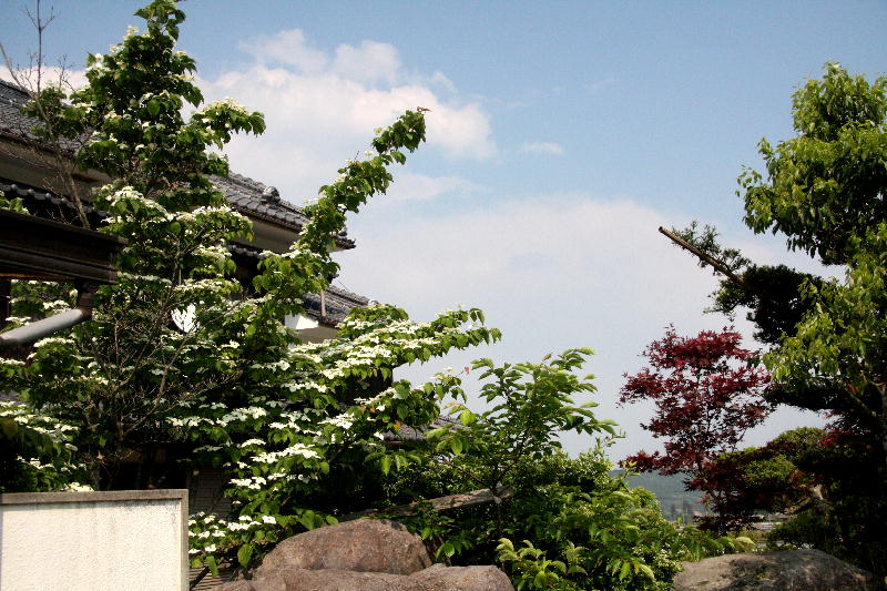 b0171185_1714440.jpg