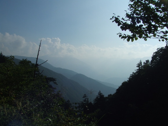 a0186689_9252334.jpg