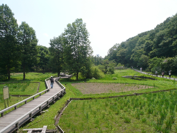 a0147890_2222942.jpg