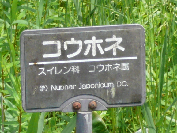a0147890_2231358.jpg