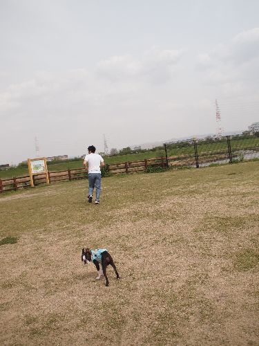 e0229992_11114527.jpg