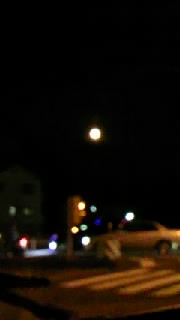 c0189894_1055958.jpg