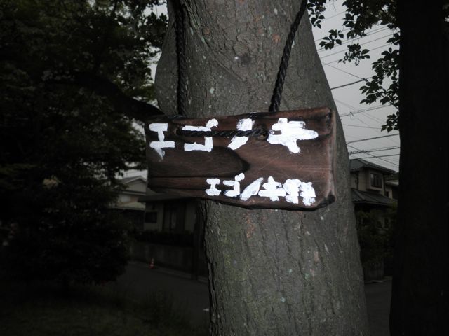 f0130894_17583917.jpg