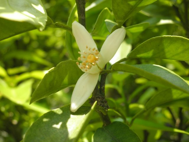 f0130894_17595677.jpg